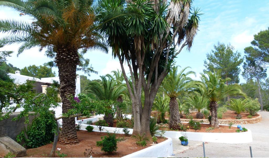 Hacienda Encanto Del Rio Playa DPlaya Des Figueral Zewnętrze zdjęcie